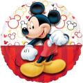 Mickey Portr...