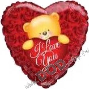 Love Bear Over Roses 18" (#15162)